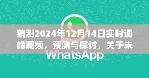 2024年实时调峰调频展望与探讨,未来日期调频技术的预测与论述