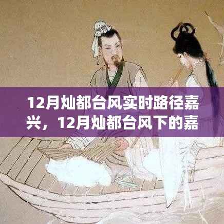 12月灿都台风下的嘉兴,与自然共舞,探寻内心宁静乐土