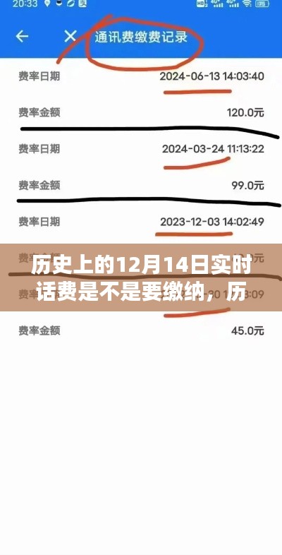历史上的12月14日实时话费缴纳制度解析与探讨