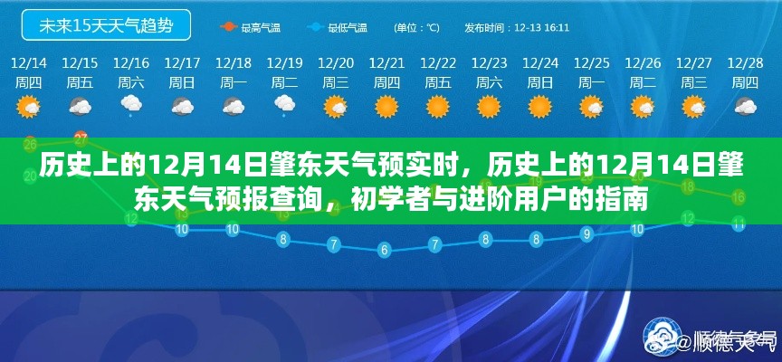 肇东天气预报查询,历史12月14日天气实时查询指南