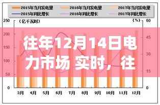 往年12月14日电力市场实时分析与指南，初学者与进阶用户的参考手册