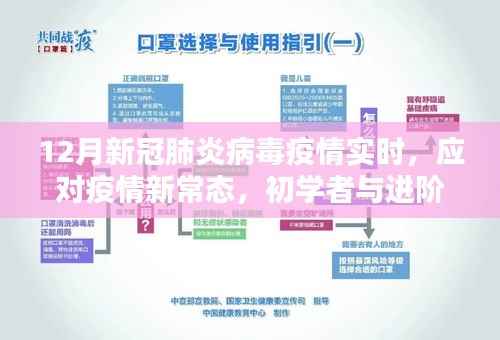 初学者与进阶用户指南下的新冠肺炎病毒疫情实时应对策略,应对疫情新常态的指南