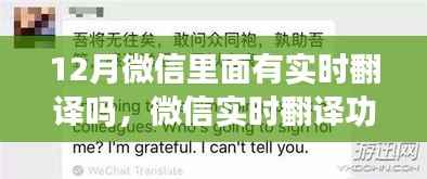 全始全终 第6页