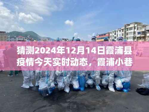 疫情之下的霞浦美食探索,小巷隐世之宝与实时动态体验