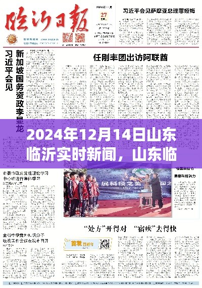 2024年12月14日山东临沂实时新闻热点与个人观点分析