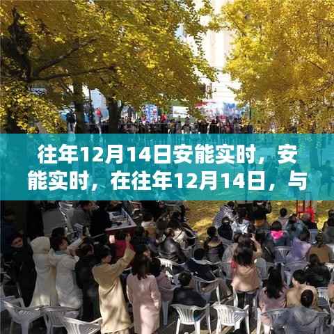 往年12月14日安能实时,与自然美景共舞的日子