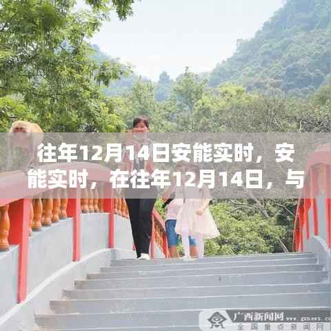 往年12月14日安能实时,与自然美景共舞的日子