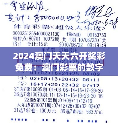 2024澳门天天六开奖彩免费:澳门彩票的数字化转型与未来发展