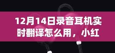 小红书独家揭秘,录音耳机实时翻译功能使用指南(12月14日最新版)