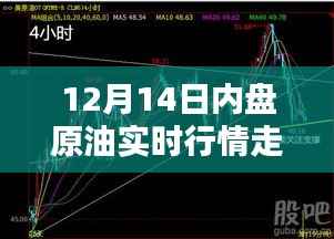 12月14日内盘原油实时行情深度解析及走势预测