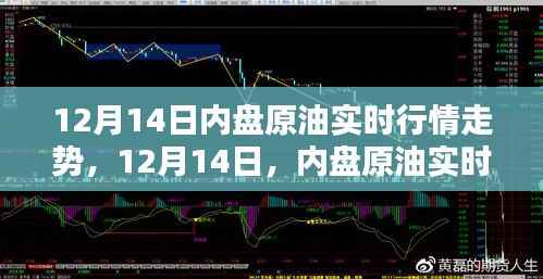 12月14日内盘原油实时行情深度解析及走势预测