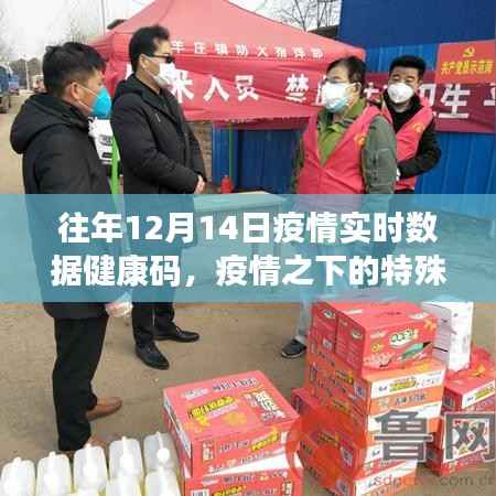 历年12月14日疫情实时数据与健康码变迁纪实