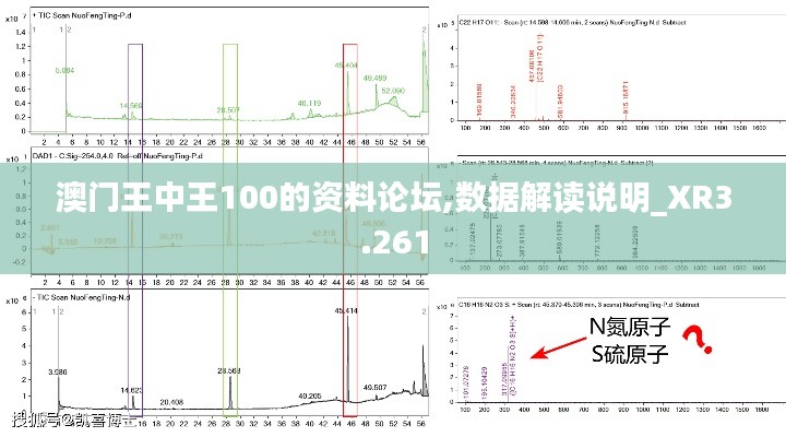 澳门王中王100的资料论坛,数据解读说明_XR3.261