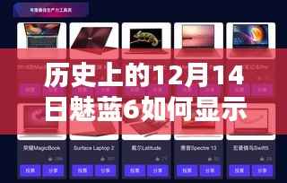 花枝招展 第5页