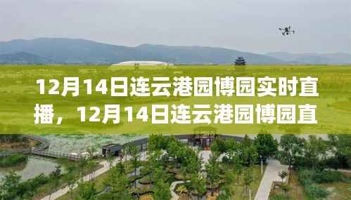 12月14日连云港园博园直播日,变化中的学习与自信成就感的绽放