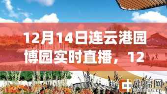 12月14日连云港园博园直播日,变化中的学习与自信成就感的绽放