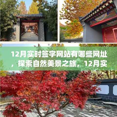 12月实时签字网站探索指南,启程寻找自然美景与心灵宁静胜地