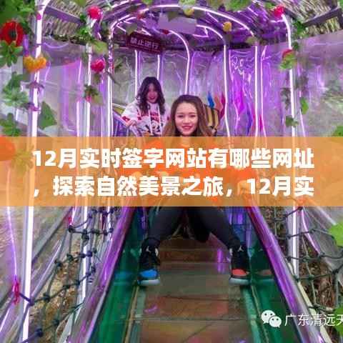12月实时签字网站探索指南,启程寻找自然美景与心灵宁静胜地