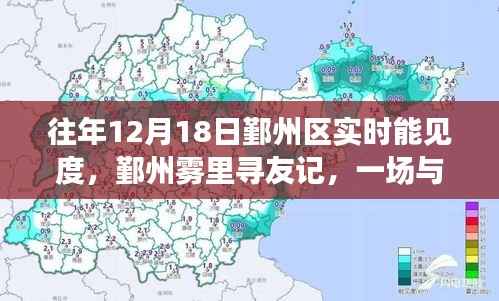 鄞州雾里探友记,与能见度的温馨对话