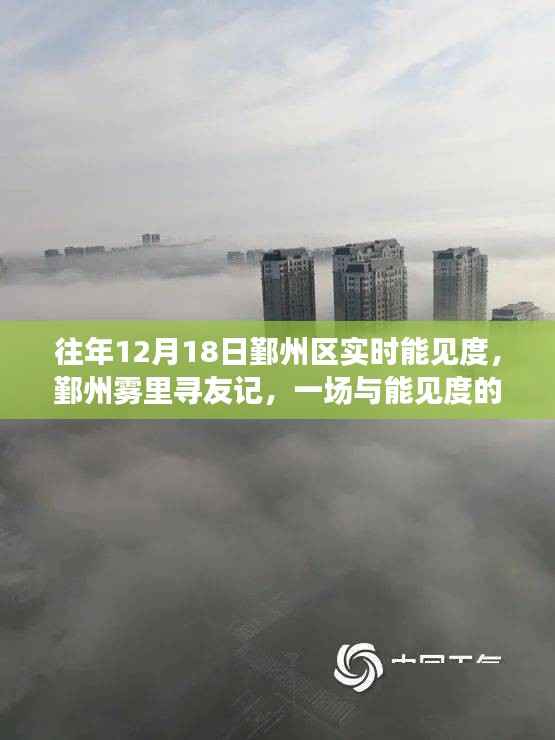 鄞州雾里探友记,与能见度的温馨对话