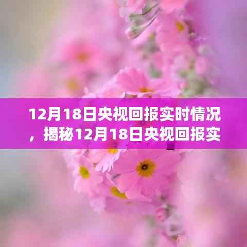 揭秘央视回报实时情况,视觉盛宴背后的故事,12月18日独家报道