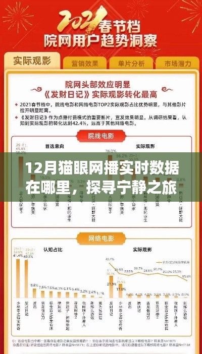 探寻宁静之旅，揭秘12月猫眼网播数据指引的心灵出走之路
