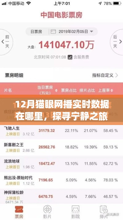探寻宁静之旅,揭秘12月猫眼网播数据指引的心灵出走之路