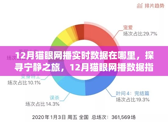探寻宁静之旅,揭秘12月猫眼网播数据指引的心灵出走之路