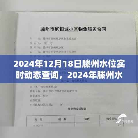 2024年滕州水位实时动态查询，掌握最新水位信息，畅游无忧