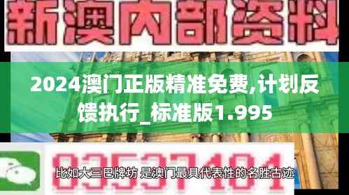 2024澳门正版精准免费,计划反馈执行_标准版1.995