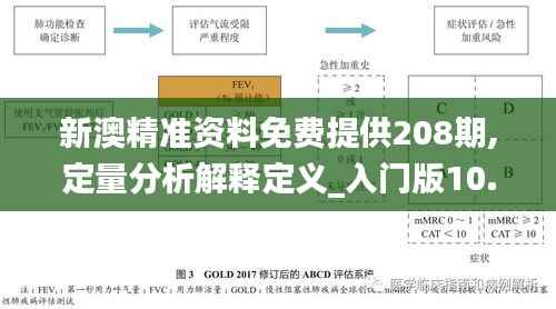 新澳精准资料免费提供208期,定量分析解释定义_入门版10.612