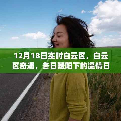 白云区奇遇,冬日暖阳下的温情日常纪实
