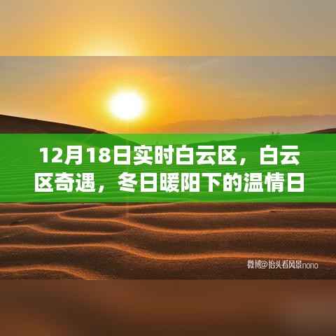 白云区奇遇,冬日暖阳下的温情日常纪实