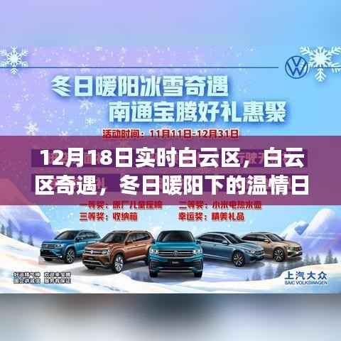 白云区奇遇,冬日暖阳下的温情日常纪实