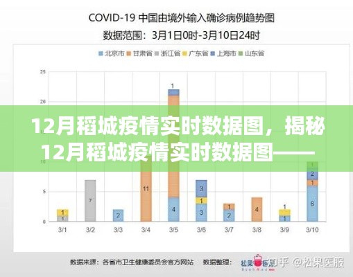 揭秘稻城疫情实时数据图,疫情现状、趋势分析与应对策略(12月版)