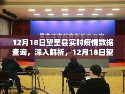 12月18日望奎县实时疫情数据查询深度解析与全面评测报告