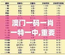 澳门一码一肖一特一中,重要性解释落实方法_粉丝版8.164