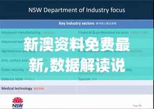 新澳资料免费最新,数据解读说明_CT10.676