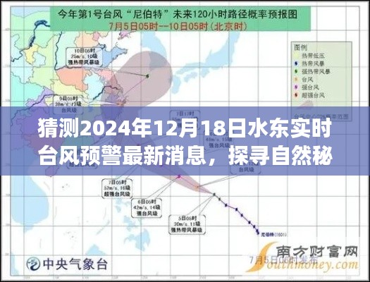 台风后的水东奇旅,探寻自然秘境与启程前的期待与惊喜——最新台风预警消息