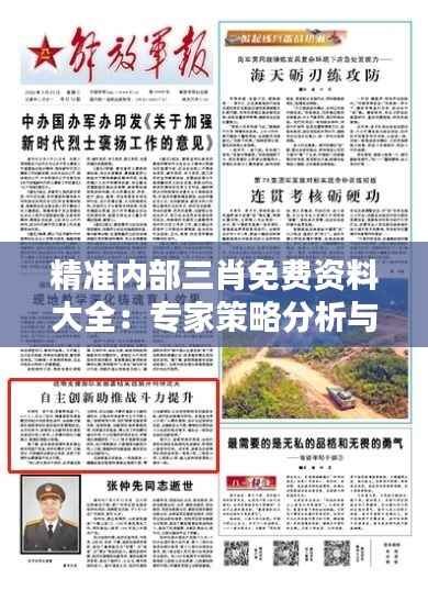 精准内部三肖免费资料大全:专家策略分析与实战技巧指南