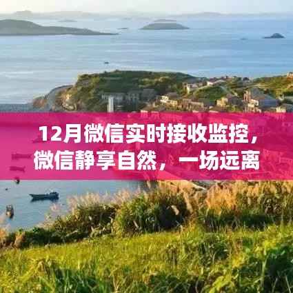 微信监控下的美景探索之旅，静享自然的十二月之旅