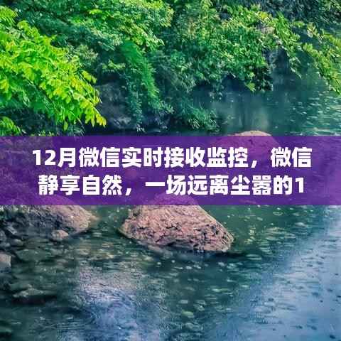 微信监控下的美景探索之旅,静享自然的十二月之旅
