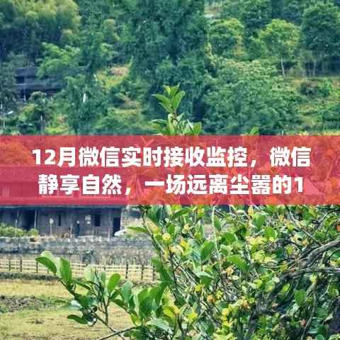 微信监控下的美景探索之旅,静享自然的十二月之旅