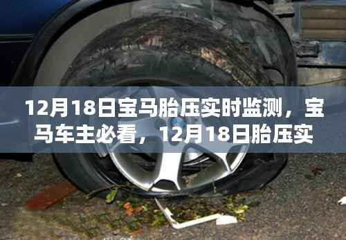 宝马车主必看，胎压实时监测步骤指南（12月18日版）