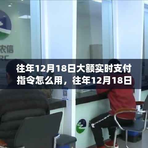 往年12月18日大额实时支付指令操作指南,高效利用支付系统指南
