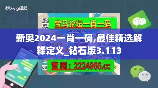 新奥2024一肖一码,最佳精选解释定义_钻石版3.113