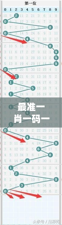 最准一肖一码一一子中特7955——精准预测彩票号码秘籍