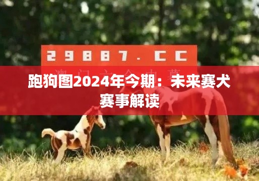 跑狗图2024年今期:未来赛犬赛事解读