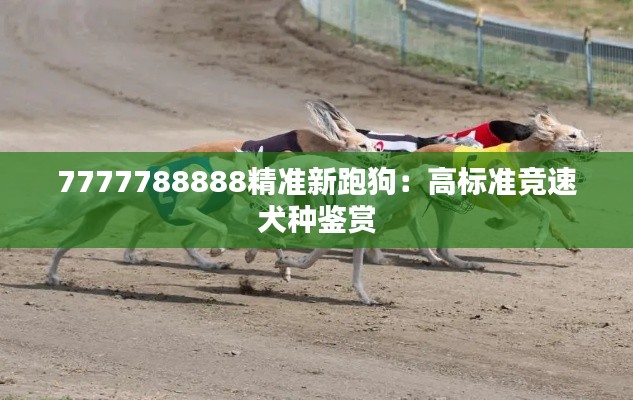 7777788888精准新跑狗:高标准竞速犬种鉴赏