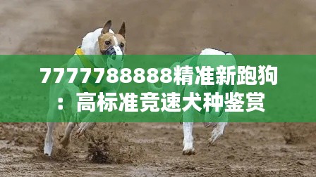 7777788888精准新跑狗:高标准竞速犬种鉴赏